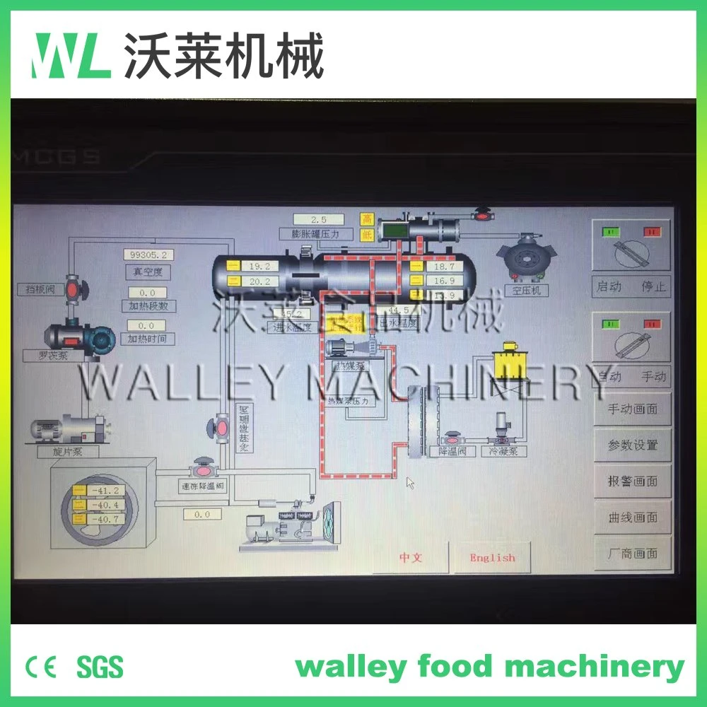 Industrial Vacuum Freeze and Drying Equipment for Durian