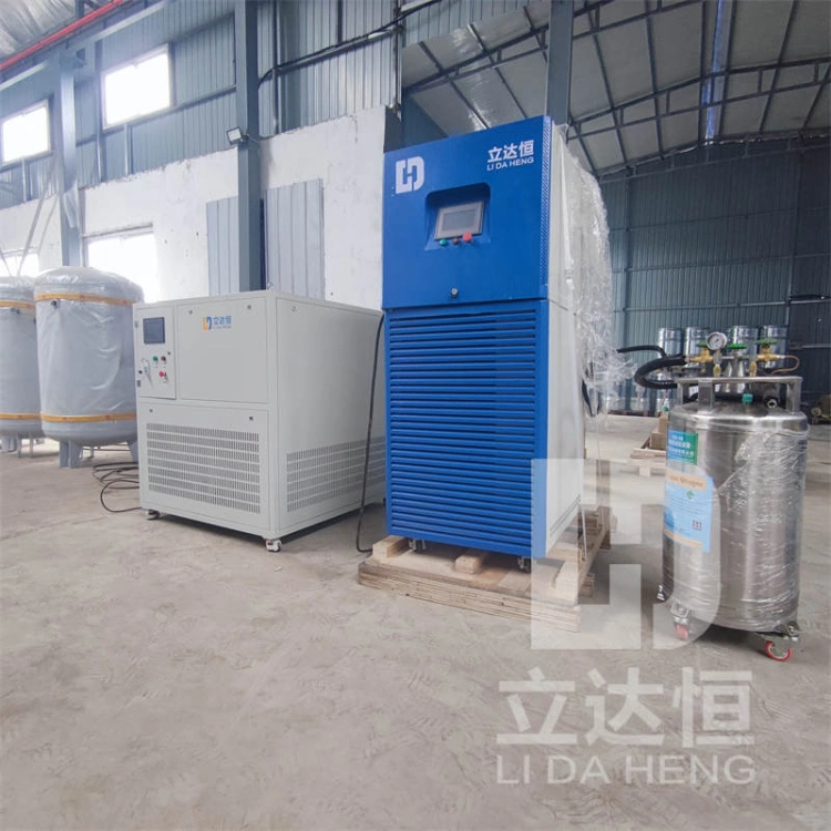 Lidaheng Cold Drying Machine Suction Dryer Filter Skid Industrial Liquid Nitrogen Equipment