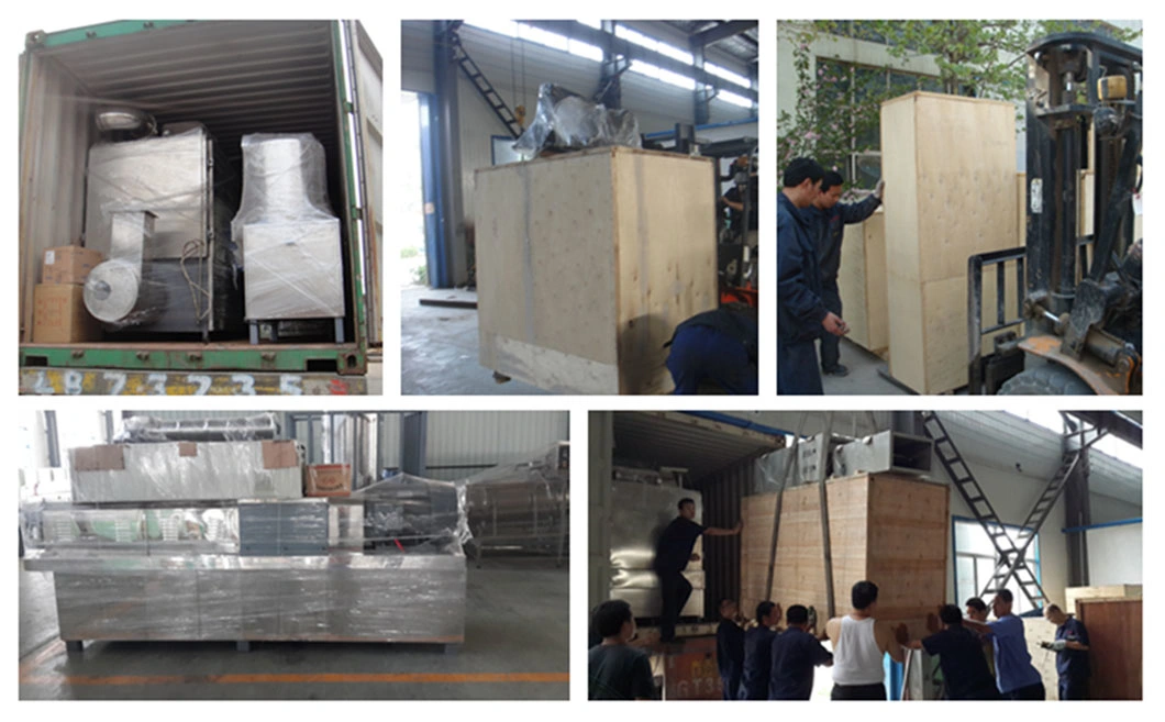 Good Quality Industrial Conveyor Belt Type Condiments Sterilizing Microwave Drying Equipment